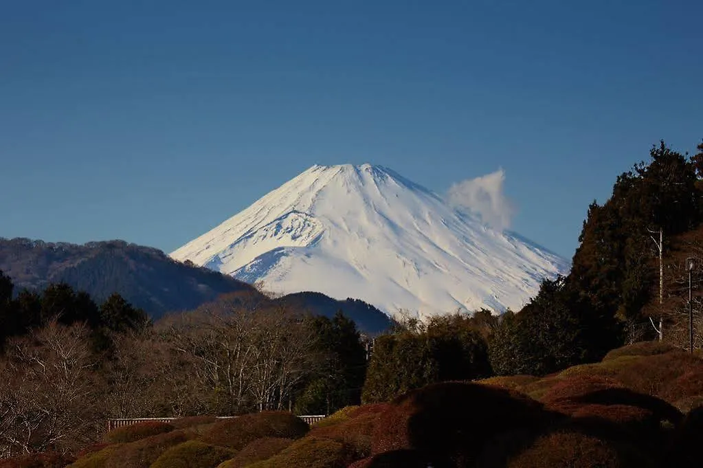 ホテル 小田急山のホテル 箱根町